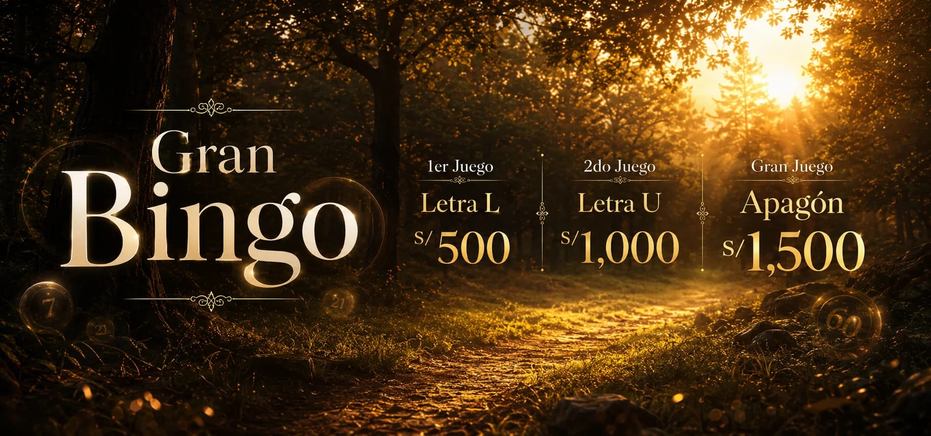 Bingo SSCC